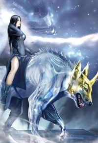 圣世巫医